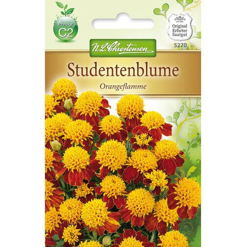 Büdöske Orange Flame kép 1 termék 78941