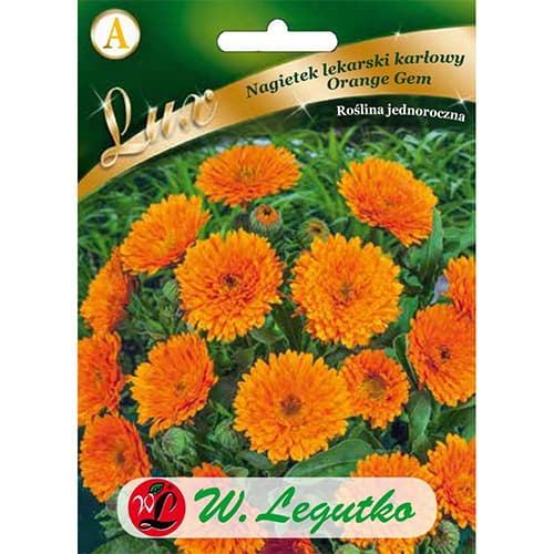 Körömvirág Orange Gem kép 1 termék 86749