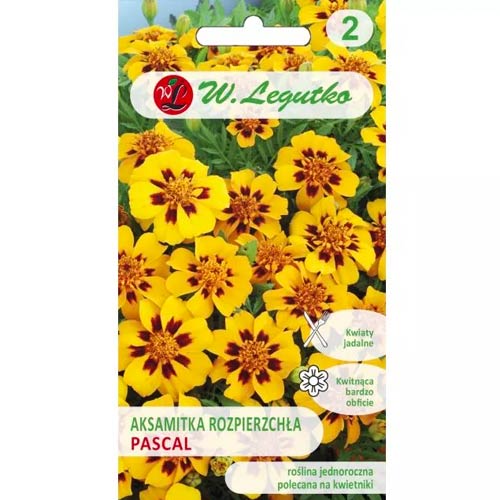 Körömvirág Pascal Legutko kép 1 termék 96690