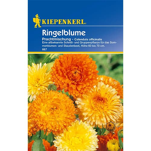 Körömvirág Splendor, színkeverék termék fotó 1 Körömvirág Splendor, színkeverék kép 1 termék 77411
