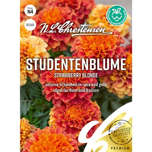 Büdöske Strawberry Blonde kép 1 termék 86203