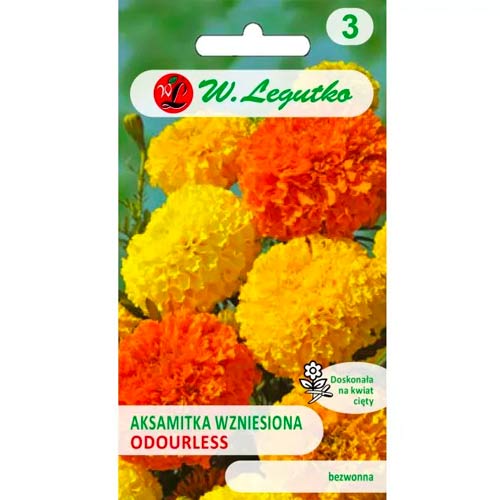 Körömvirág szagtalan, színkeverék Legutko kép 1 termék 50080