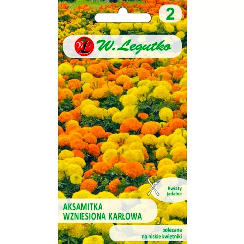 Körömvirág törpe, színkeverék Legutko kép 1 termék 50081