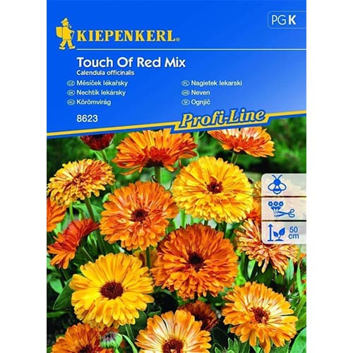 Körömvirág Touch of Red, színkeverék kép 1 termék 96520
