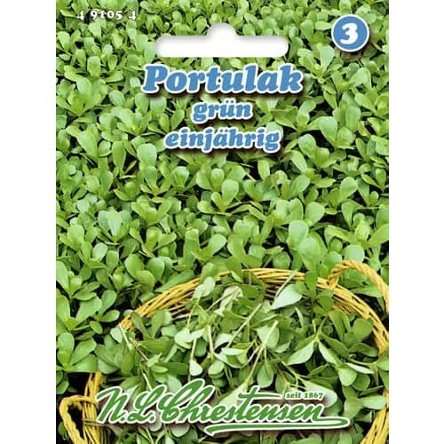 Kövér porcsin egynyári termék fotó 1 Kövér porcsin egynyári kép 1 termék 96439