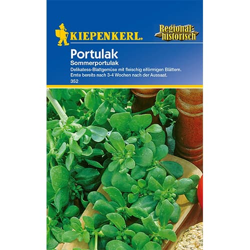 Kövér porcsin termék fotó 1 Kövér porcsin kép 1 termék 77412