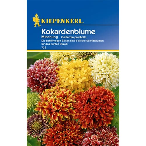 Kokárdavirág, színkeverék termék fotó 1 Kokárdavirág, színkeverék kép 1 termék 77433