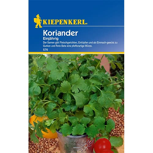 Koriander egynyári termék fotó 1 Koriander egynyári kép 1 termék 77463