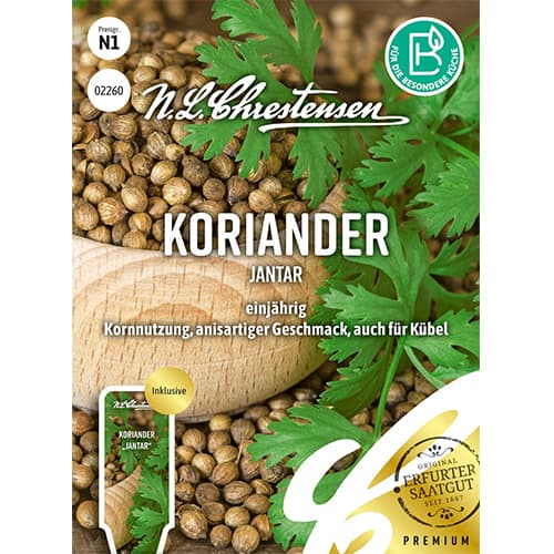 Koriander Jantar kép 1 termék 87843
