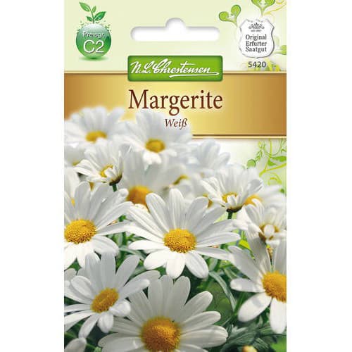 Krizantém White termék fotó 1 Krizantém White kép 1 termék 78972