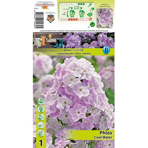 Lángvirág Cool Water kép 1 termék 77835