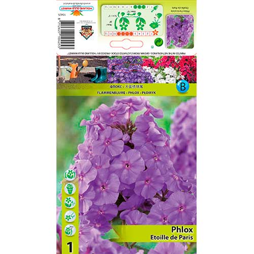 Lángvirág Etoille de Paris kép 1 termék 76347