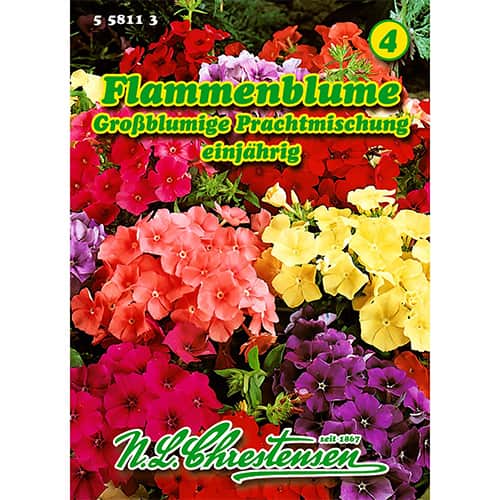 Lángvirág gigant, színkeverék kép 1 termék 86180