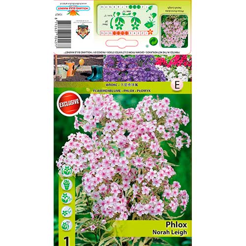 Lángvirág Nora Leigh kép 1 termék 70447