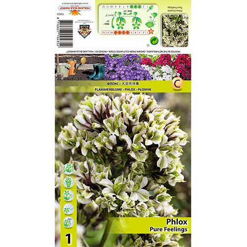 Lángvirág Pure Feelings kép 1 termék 70448