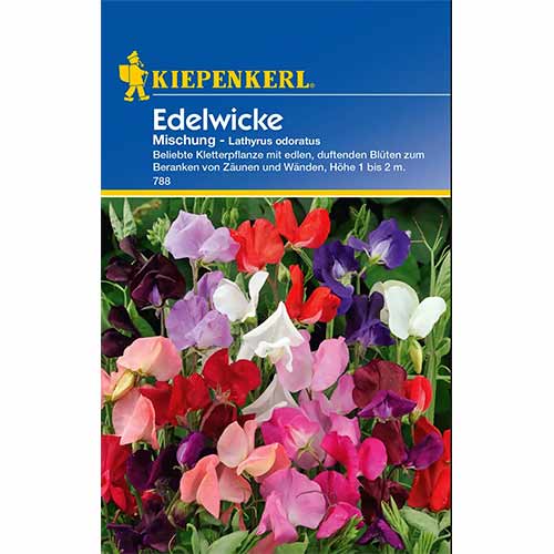 Lednek Unicorn, mix Kiepenkerl kép 1 termék 96532