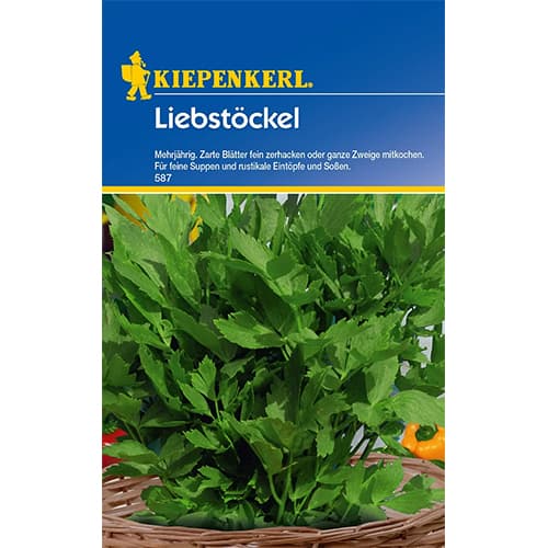 Lestyán évelő kép 1 termék 77473