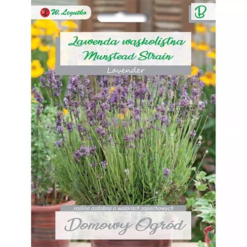 Levendula Munstead Strain kép 1 termék 87120