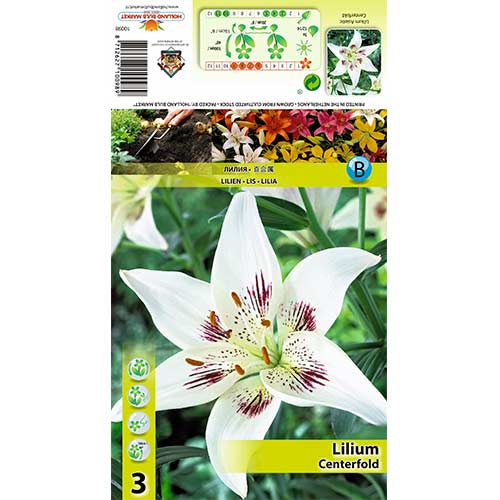 Liliom Centerfold termék fotó 1 Liliom Centerfold kép 1 termék 70425