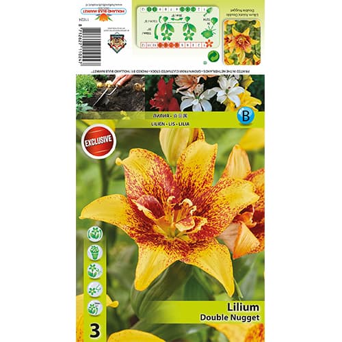 Liliom Double Nugget kép 1 termék 77820