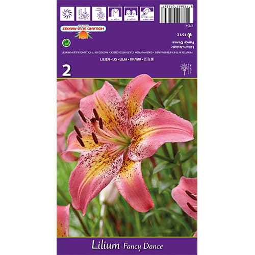 Liliom Fancy Dance kép 1 termék 77836