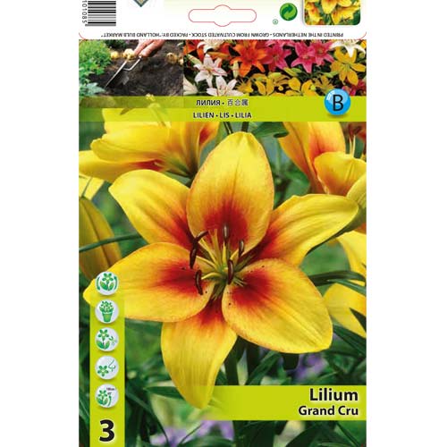 Liliom Grand Cru kép 1 termék 76468
