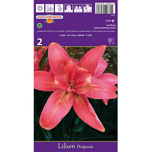 Liliom Hotpants kép 1 termék 77837