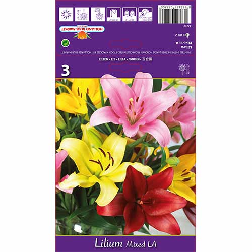 Liliom L.A. mix kép 1 termék 70212