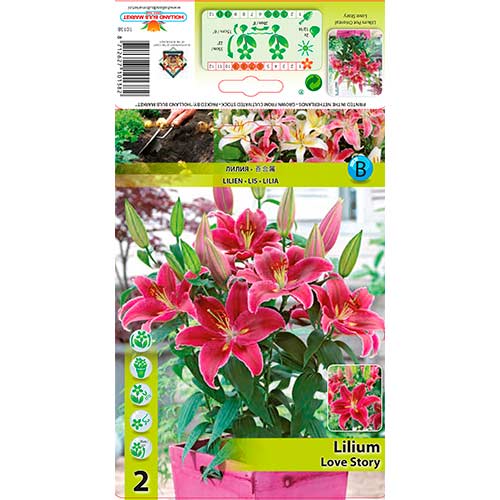 Liliom Love Story kép 1 termék 76313