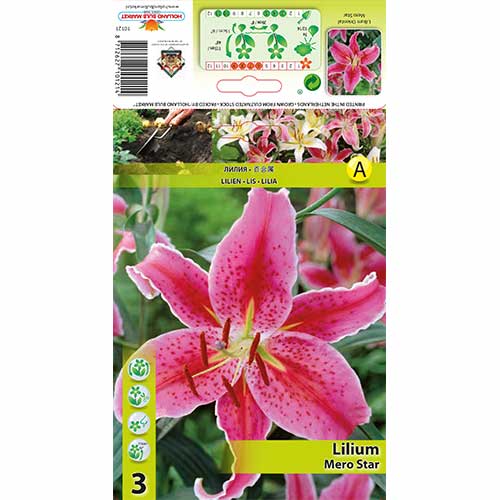 Liliom Mero Star kép 1 termék 76315