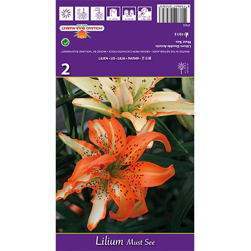 Liliom Must See kép 1 termék 77838