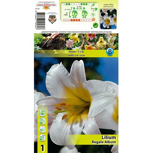 Liliom Regale Album kép 1 termék 70436