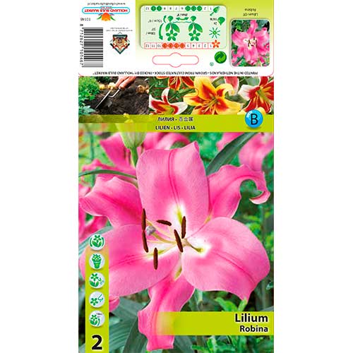 Liliom Robina termék fotó 1 Liliom Robina kép 1 termék 76608