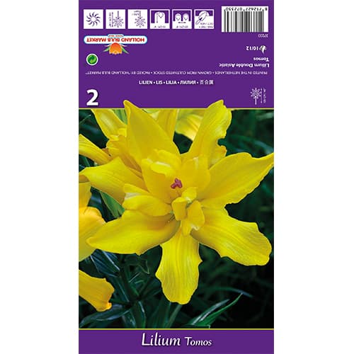 Liliom Tomos kép 1 termék 77839