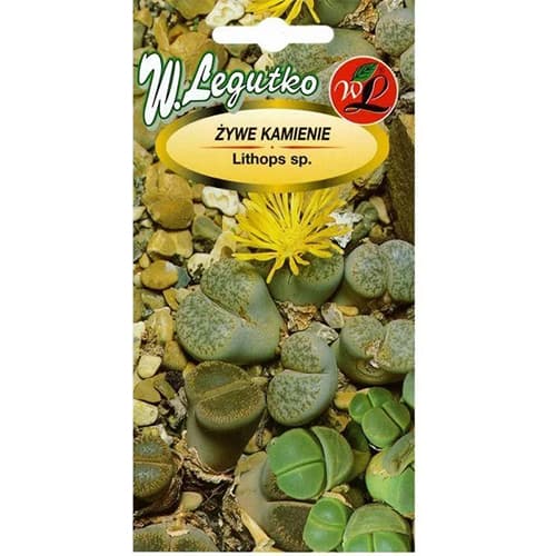 Lithops, színkeverék kép 1 termék 69640