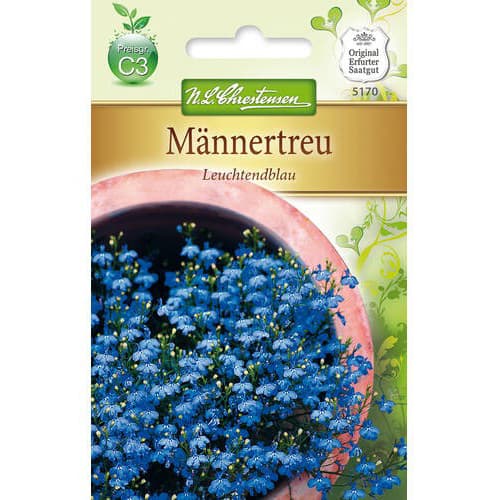 Lobélia Bright Blue kép 1 termék 78918