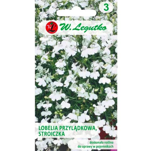 Lobélia csüngő fehér Legutko termék fotó 1 Lobélia csüngő fehér Legutko kép 1 termék 78571