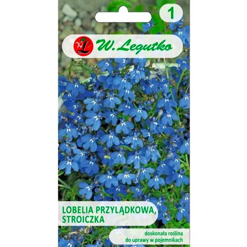 Lobélia csüngő kék Legutko kép 1 termék 78573