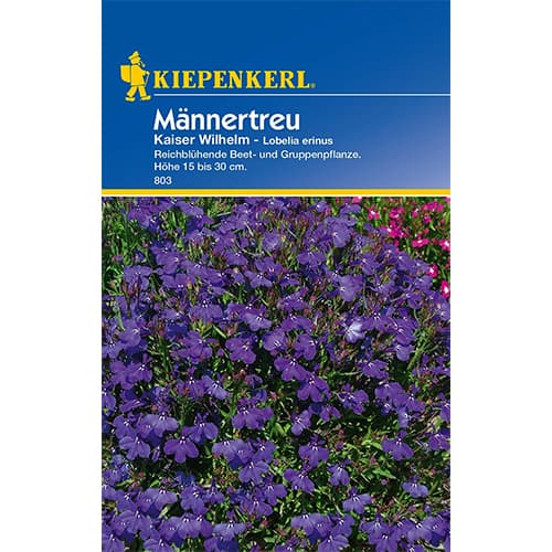 Lobélia Kaiser Wilhem kép 1 termék 77421