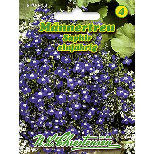 Lobélia Saphir termék fotó 1 Lobélia Saphir kép 1 termék 86165