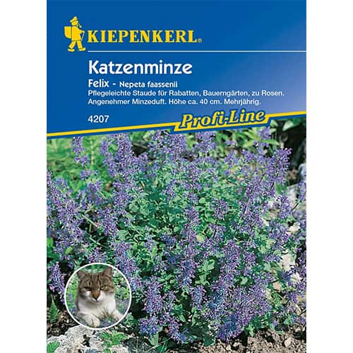 Macskafű Felix kép 1 termék 96548