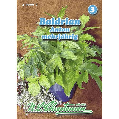 Macskagyökér Anton kép 1 termék 96463