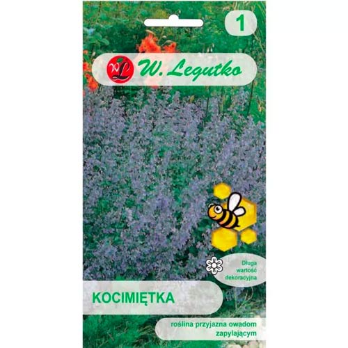 Macskagyökér kék-lila Legutko termék fotó 1 Macskagyökér kék-lila Legutko kép 1 termék 96716