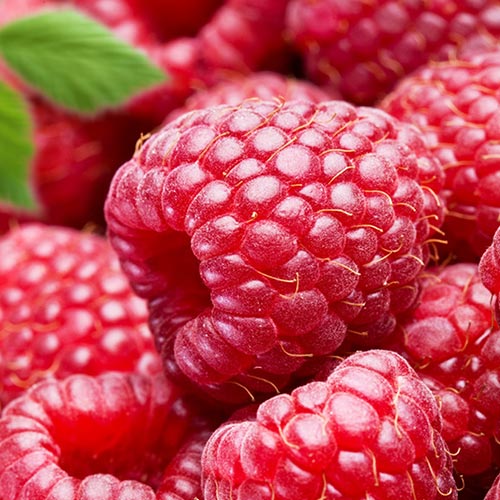 Málna Red Giant kép 1 termék 7524