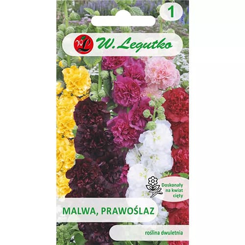 Mályvarózsa Marshmallow, színkeverék termék fotó 1 Mályvarózsa Marshmallow, színkeverék kép 1 termék 96721