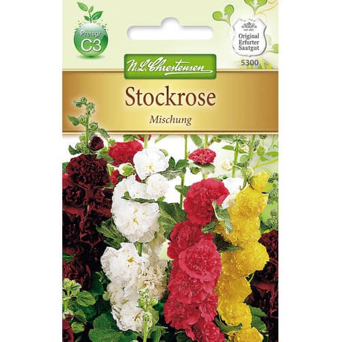 Mályvarózsa, színkeverék kép 1 termék 78951