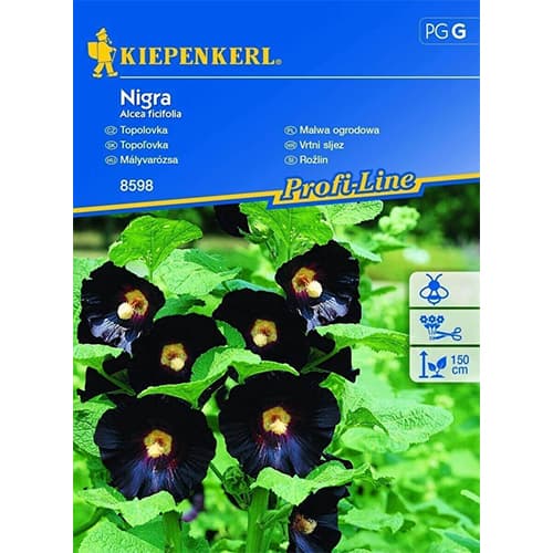 Mályvarózsa Nigra kép 1 termék 86234