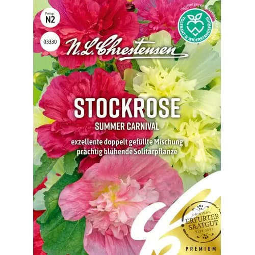 Mályvarózsa Summer Carnival, színkeverék termék fotó 1 Mályvarózsa Summer Carnival, színkeverék kép 1 termék 96454