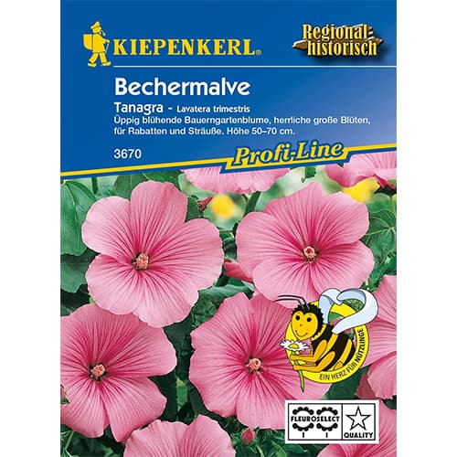 Mályvarózsa Tanagra Rosa kép 1 termék 86254