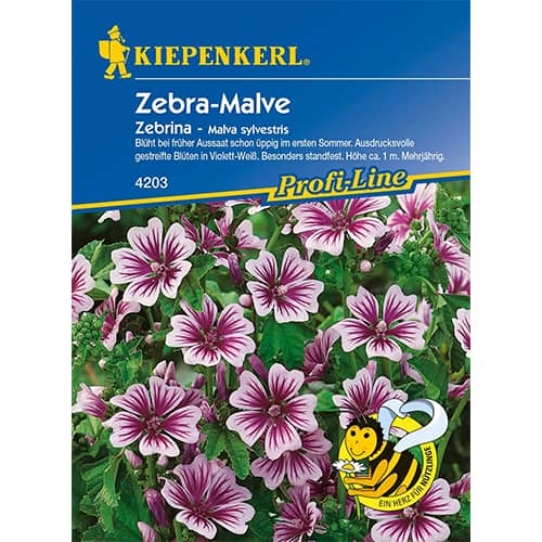 Mályvarózsa Zebrina kép 1 termék 86294